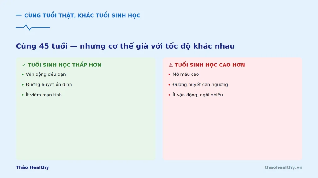 tuoi sinh hoc phenoage 2 1