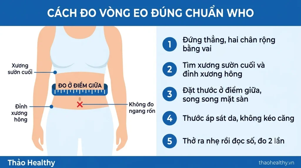 cach-do-vong-eo-chuan-who