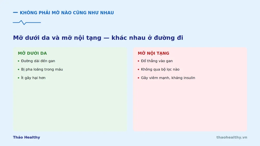 chi so rfm so sanh mo duoi da mo noi tang
